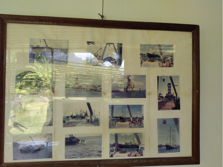 L’attentat du Rainbow Warrior : de la raison d’État au mensonge d’État